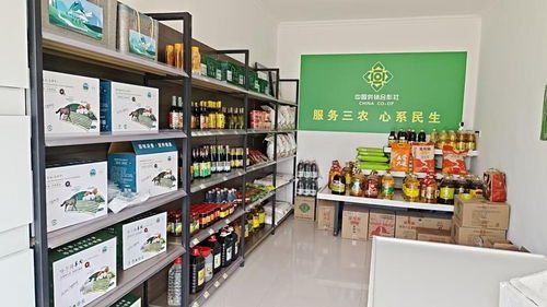 阿克塞供销社变身幸福驿站 农牧民直呼离不开