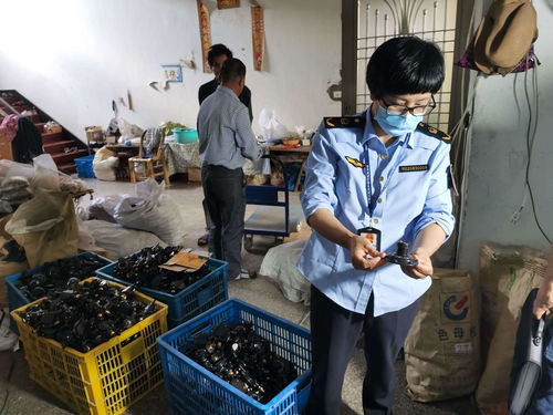 浙江发布打击侵权假冒商品典型案例，化妆品批发领域成重点